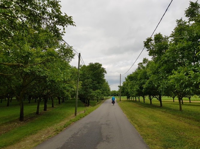 Bicycle Trip in France