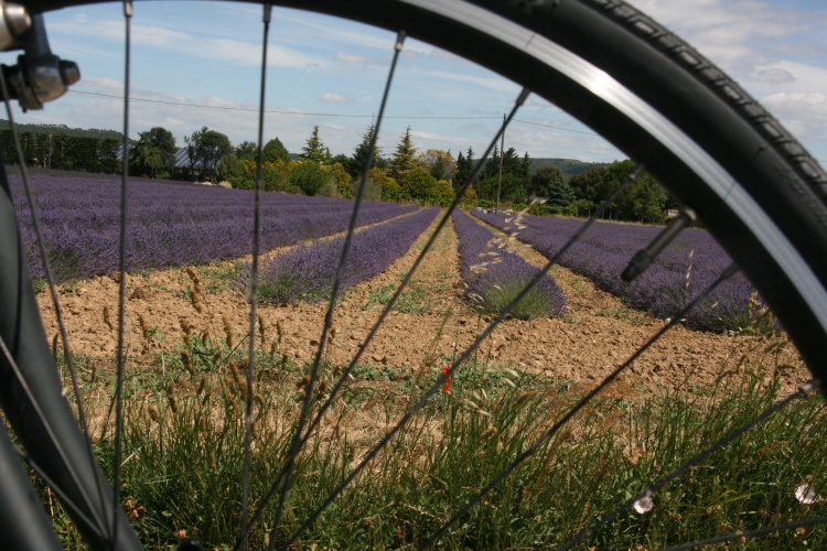 Geneva to Marseilles by Bicycle