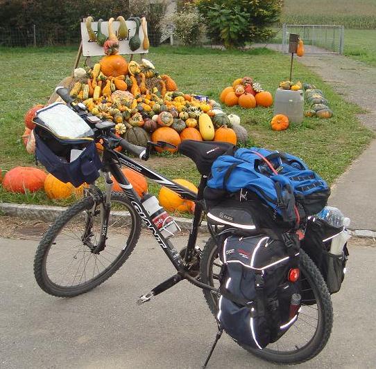 Bicycle Tours - Bicycle Near Pumpkins